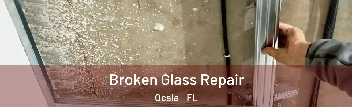  Broken Glass Repair Ocala - FL