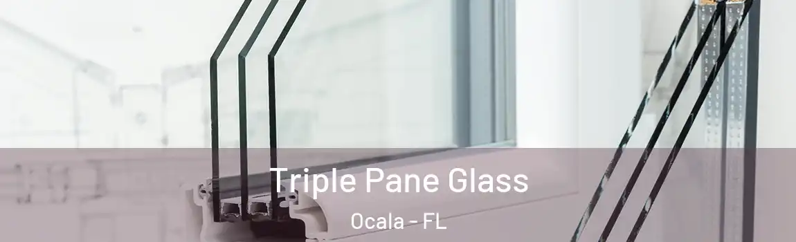  Triple Pane Glass Ocala - FL