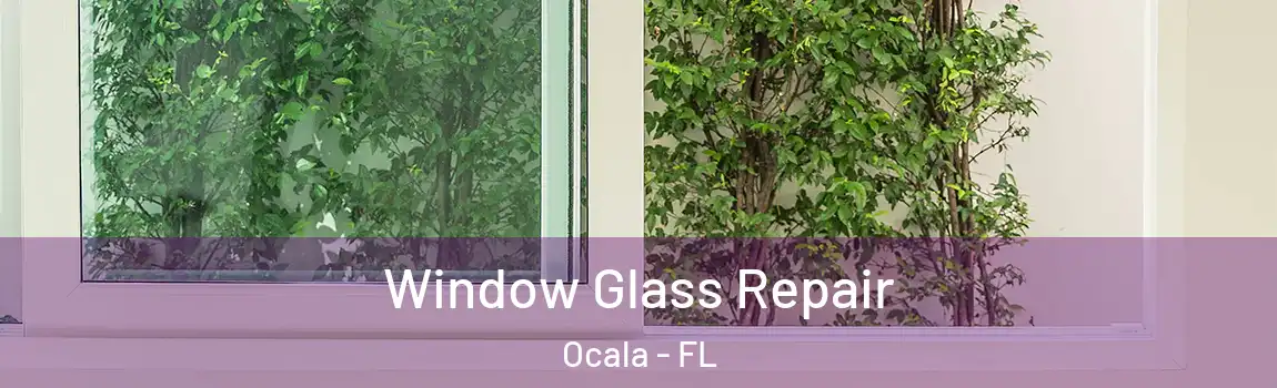  Window Glass Repair Ocala - FL