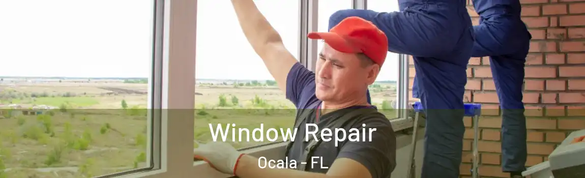 Window Repair Ocala - FL