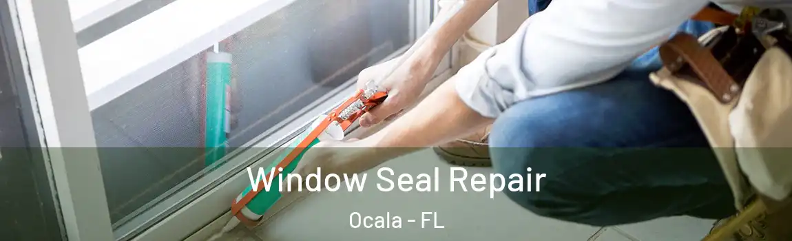 Window Seal Repair Ocala - FL